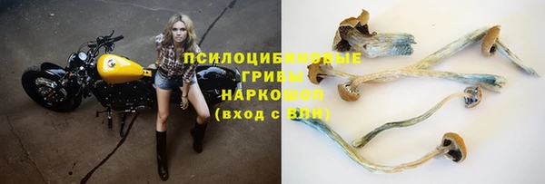 герыч Гусев