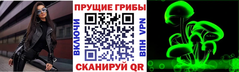 Псилоцибиновые грибы Cubensis  Купить закладки  Омутнинск 